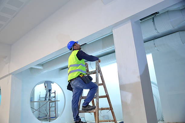 Charlotte, NC Mold Removal Company